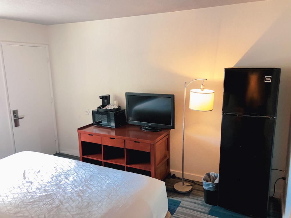 Room, 1 King Bed, Non Smoking (Mobility/Hearing, Roll-In Shower) photo 2