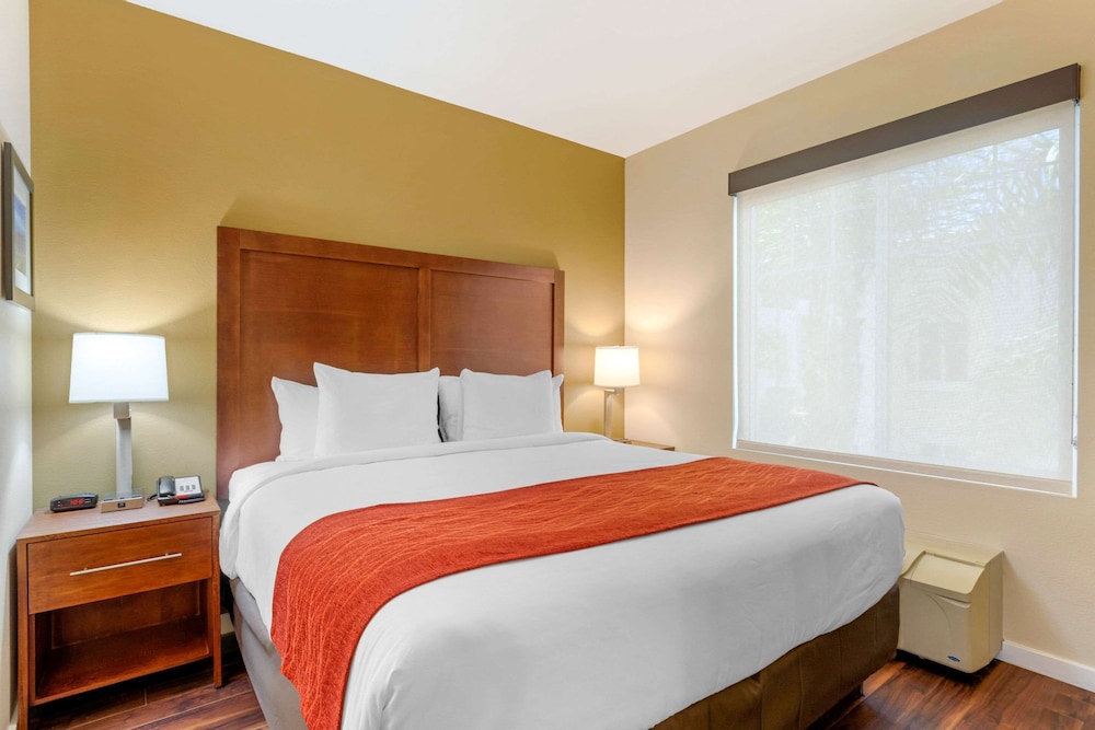 Suite, 1 King Bed, Non Smoking - Photo 1