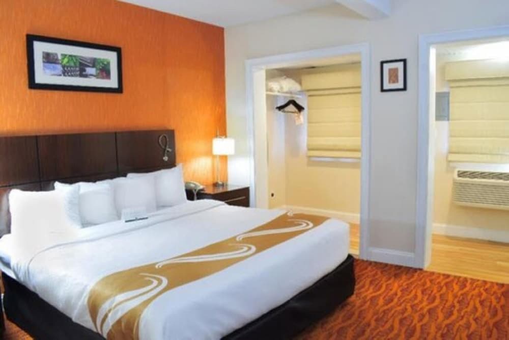 Deluxe Room, 1 King Bed, Non Smoking photo 2