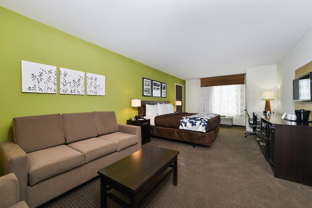 Suite, 1 King Bed with Sofa bed, Non Smoking photo 1