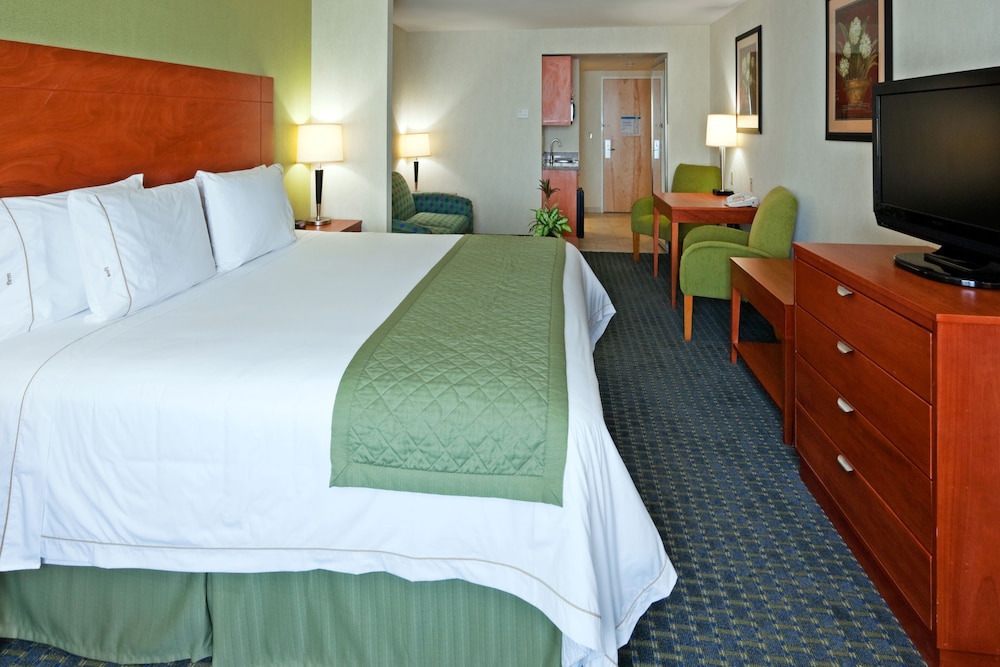 Suite, 1 King Bed - Photo 1