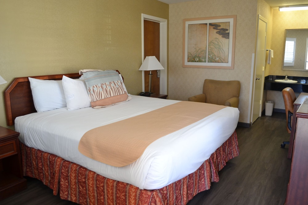 Room, 1 King Bed photo 2