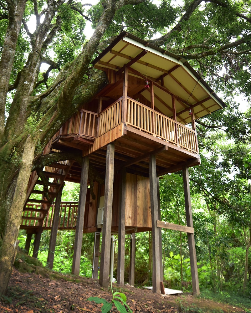 Classic Tree House, 1 Queen Bed, Mountain View photo 1