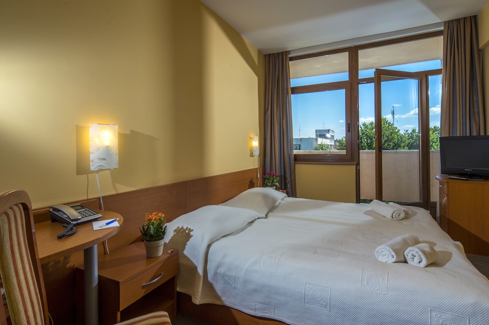 Standard Double or Twin Room, 1 Twin Bed, Park View photo 2
