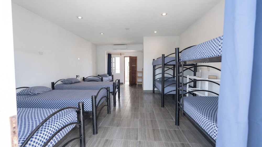 Basic Shared Dormitory photo 3