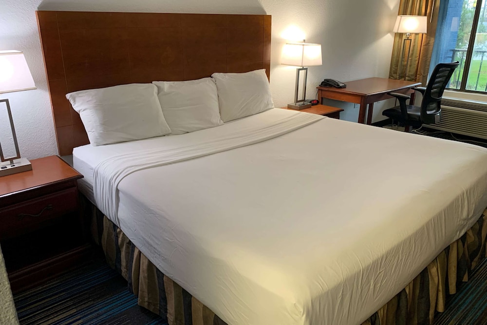 Room, 1 King Bed, Non Smoking photo 1