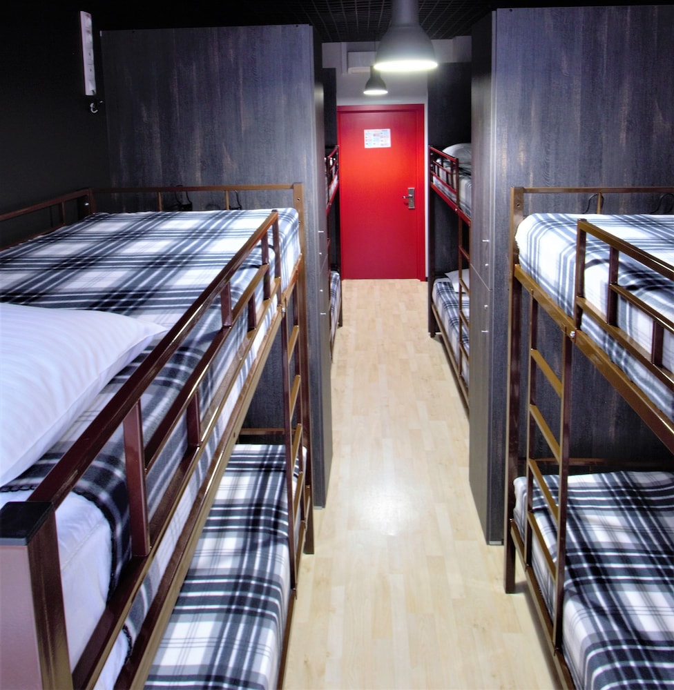 Bunk Bed in 8-Beds Female Dormitory Room photo 1