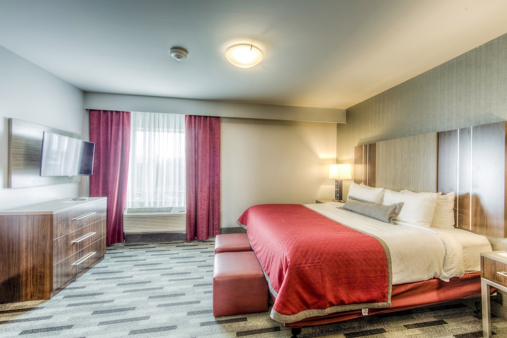 Suite, 1 Bedroom, Kitchen photo 3