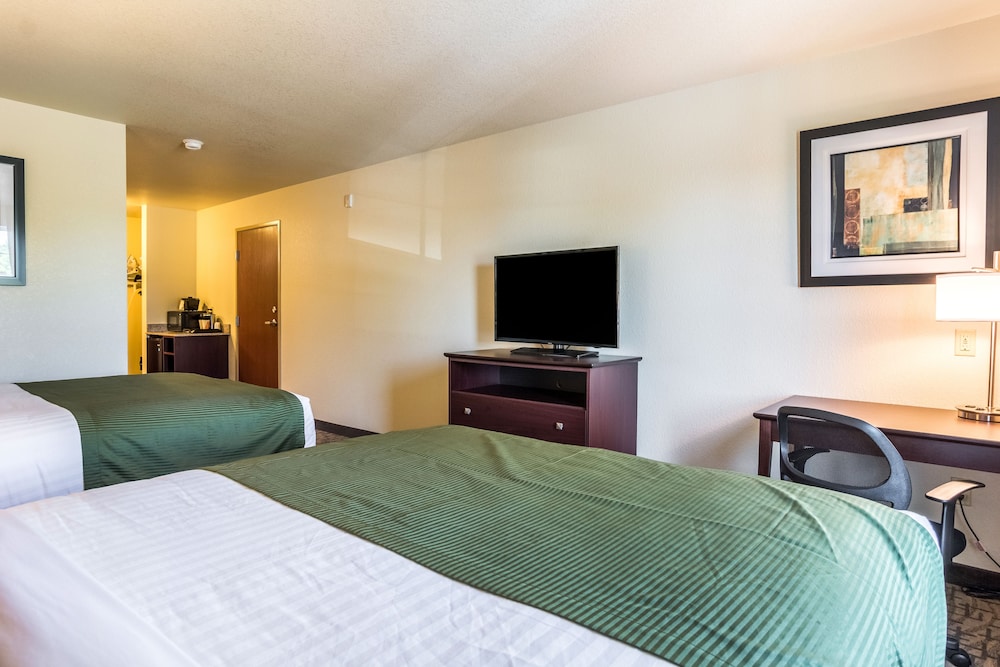 Studio, Two Queen Beds with Sofa Bed, Non Smoking photo 3