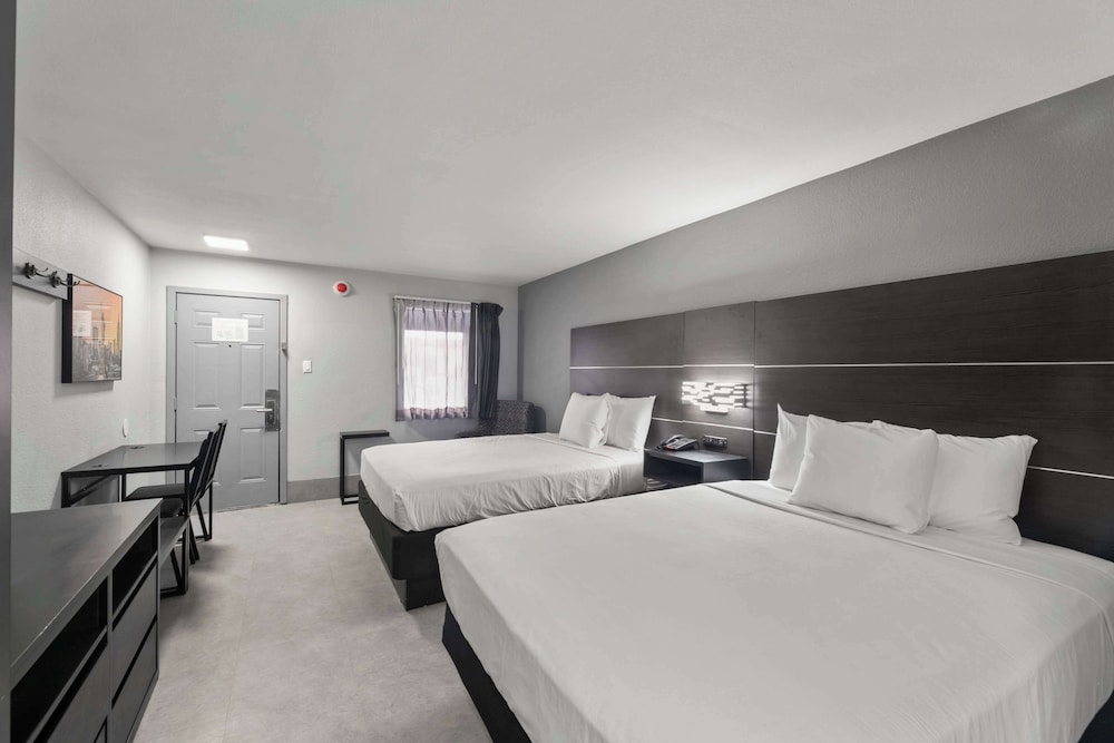 Room, 2 Queen Beds photo 1