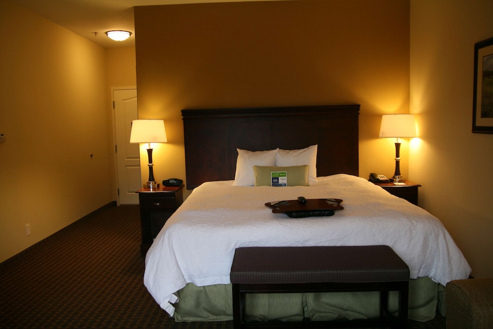 Room, 1 King Bed, Accessible, Non Smoking (Mobility & Hearing, Roll-In Shower)