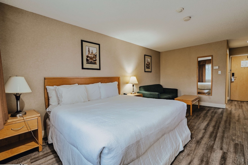 Standard Room, 1 King Bed, Non Smoking, Refrigerator & Microwave - Photo 3
