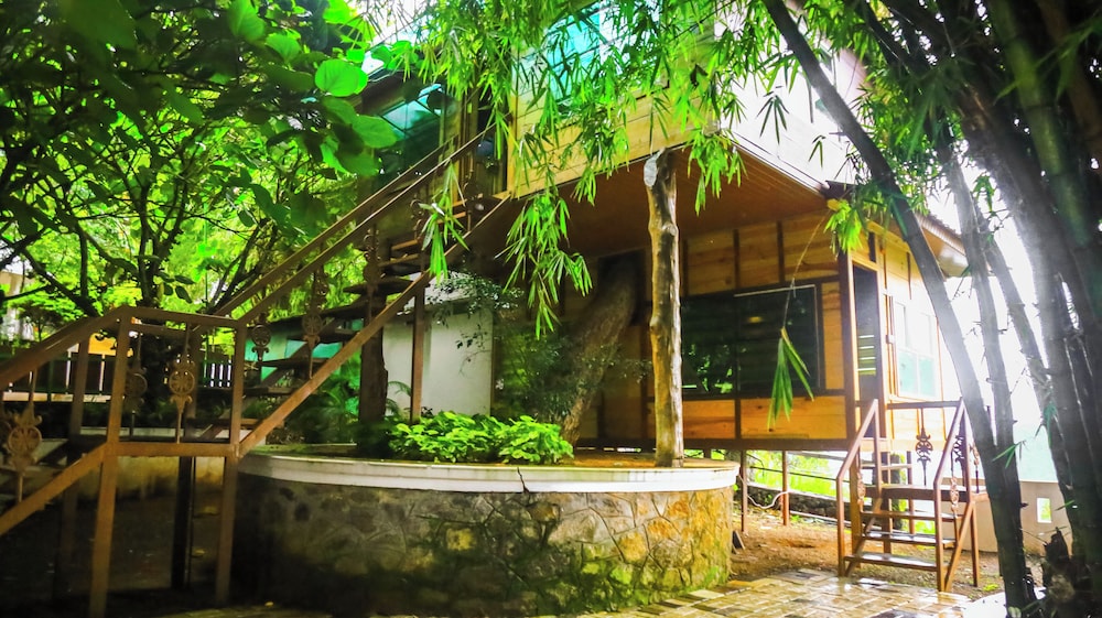 Luxury Tree House, 1 King Bed photo 3