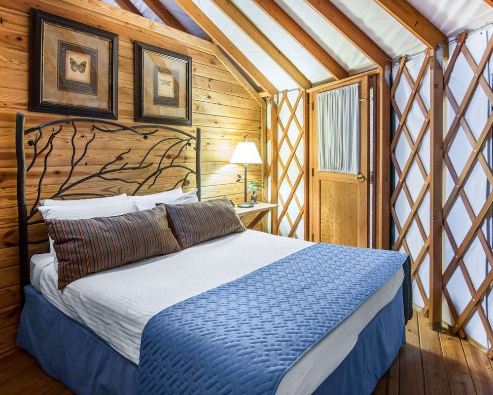 Suite, 2 Bedrooms photo 2