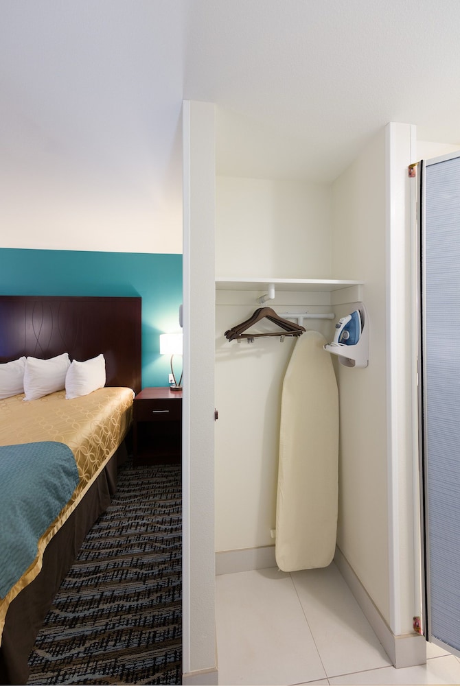 Deluxe Suite, 1 King Bed, Refrigerator & Microwave (Non Pet Friendly) - Photo 10