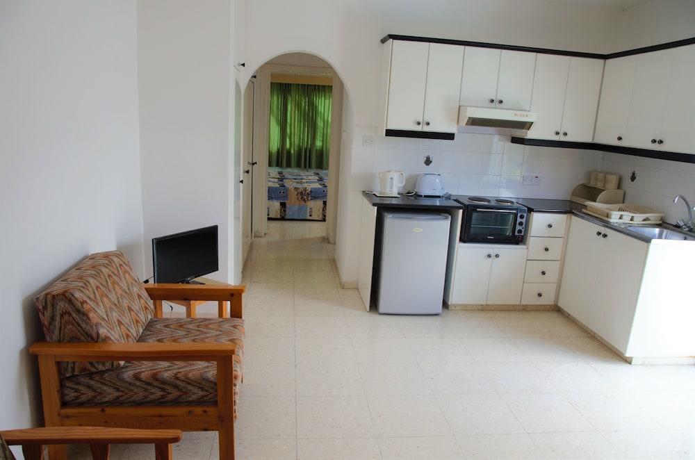 Apartment, 1 Bedroom, Terrace photo 3