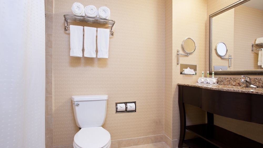 Suite, 1 King Bed, Accessible, Non Smoking (Comm) - Photo 7