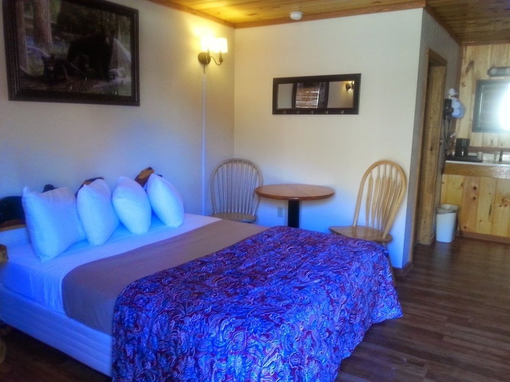 Room, 1 Queen Bed photo 1