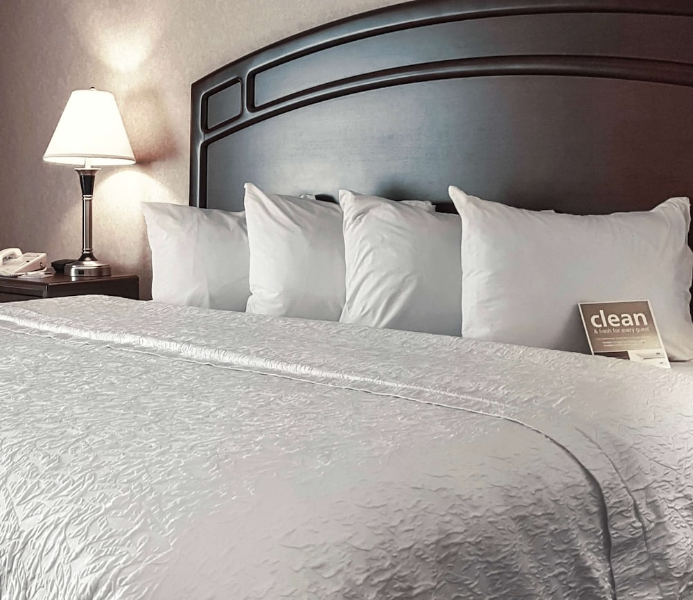 Executive Suite with 1 King Bed and Separate Living Space - Photo 1