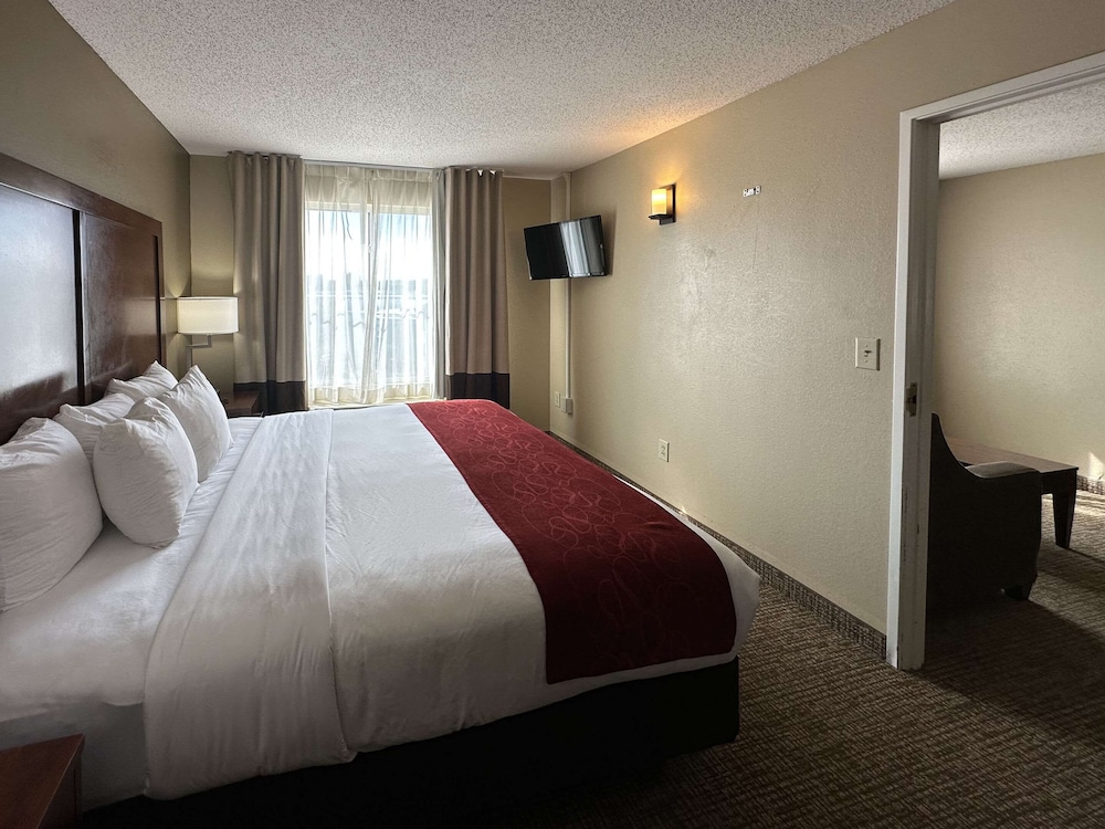 Suite, 1 King Bed, Non Smoking, Kitchen