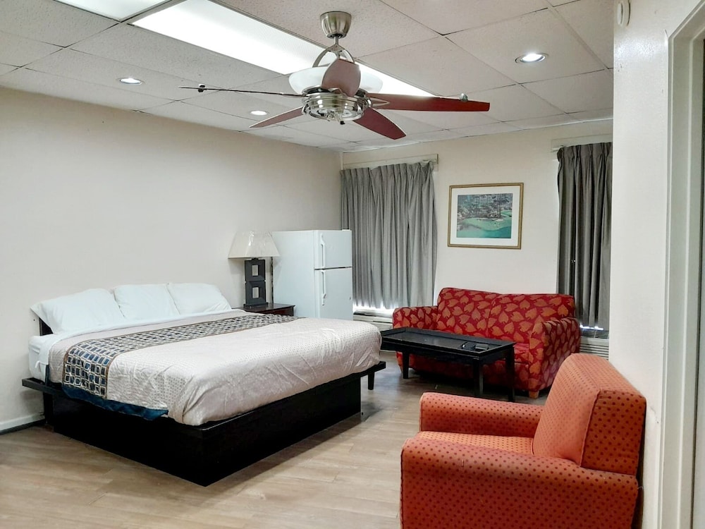 Executive Studio Suite photo 2