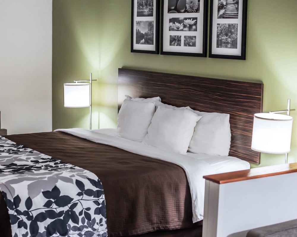 Studio Suite, 1 King Bed With Sofa Bed, Accessible, Non Smoking photo 3