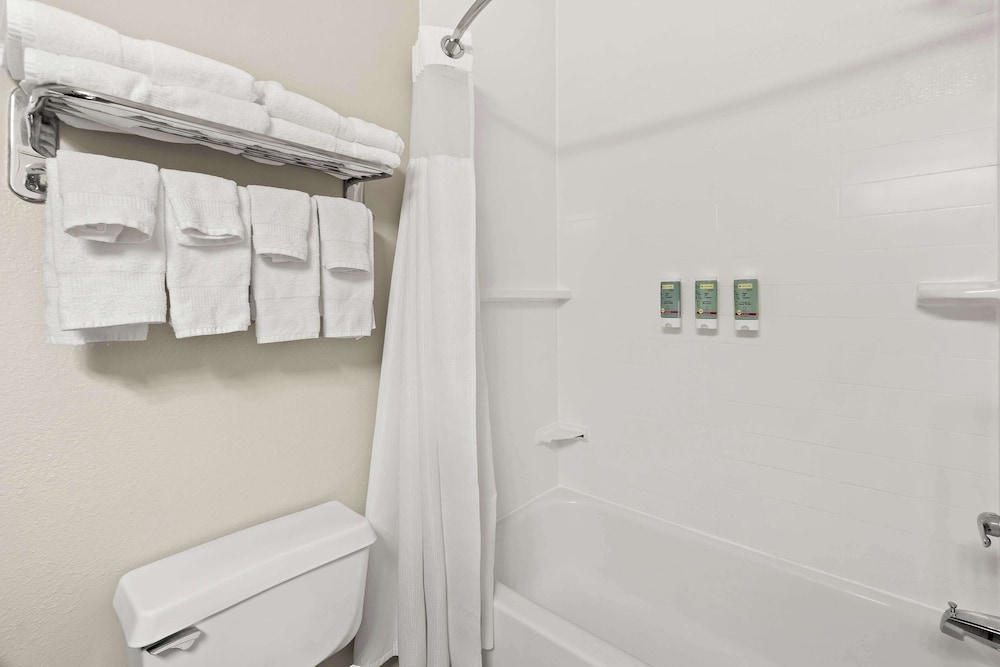 Suite, 1 King Bed, Non Smoking, Refrigerator & Microwave (with Sofabed) - Photo 5