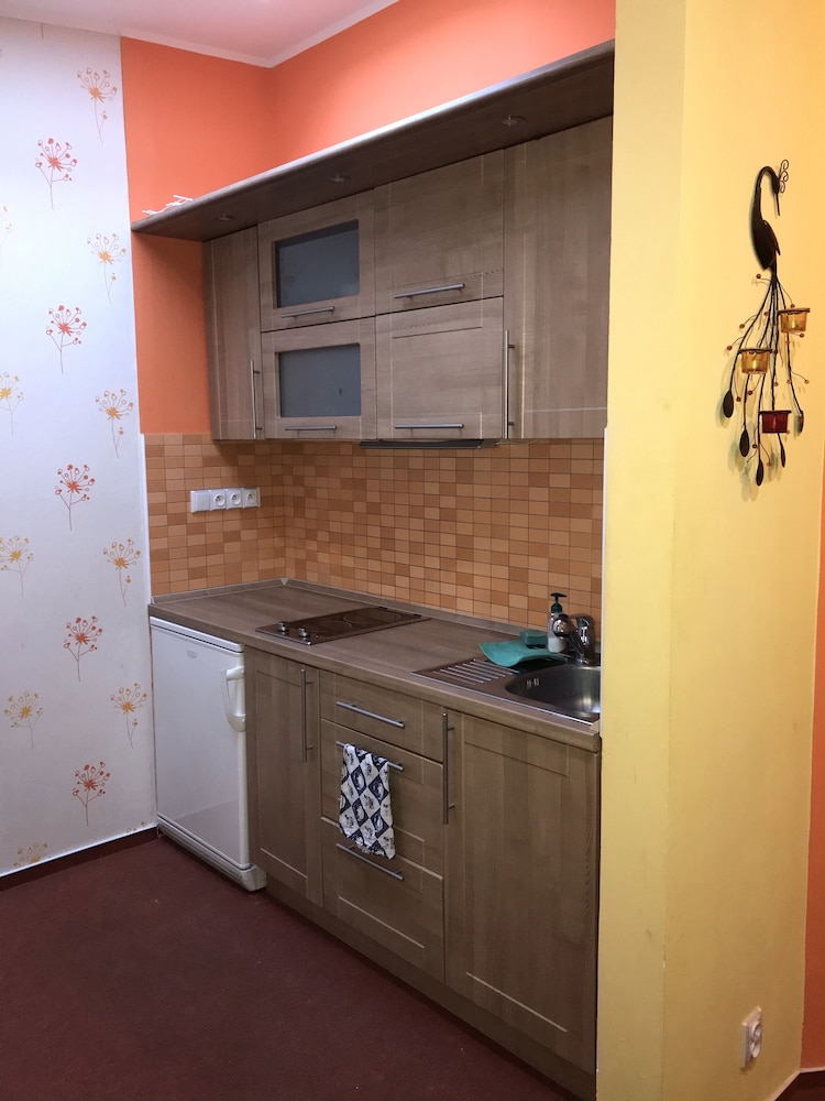 Apartment, Kitchenette photo 3