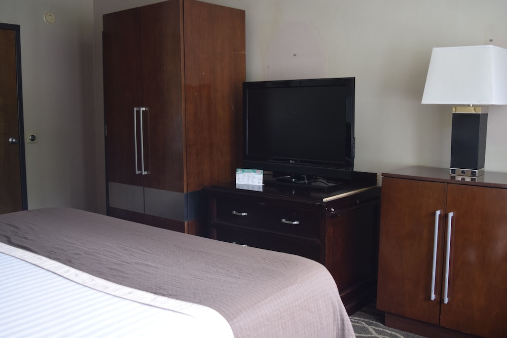 Premium Suite, 1 King Bed (No Pets Allowed) photo 3