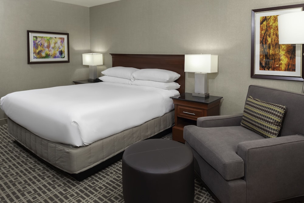 Suite, 1 King Bed, Non Smoking (2 Room, Multi-view) photo 3