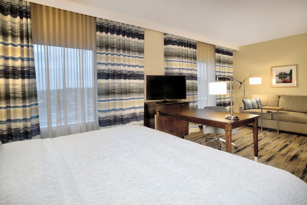 Room, 1 King Bed, Accessible, Non Smoking photo 2