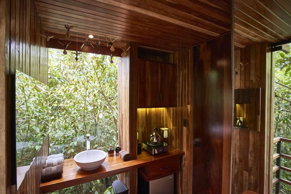 Jungle Suite photo 3