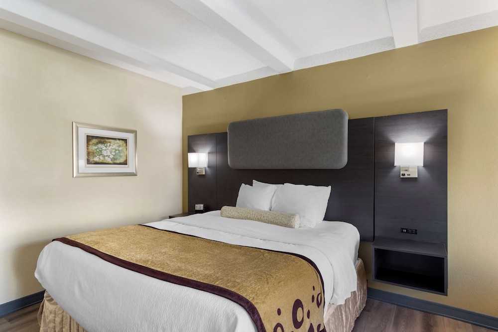 Standard Room, 1 King Bed, Accessible, Refrigerator & Microwave photo 2