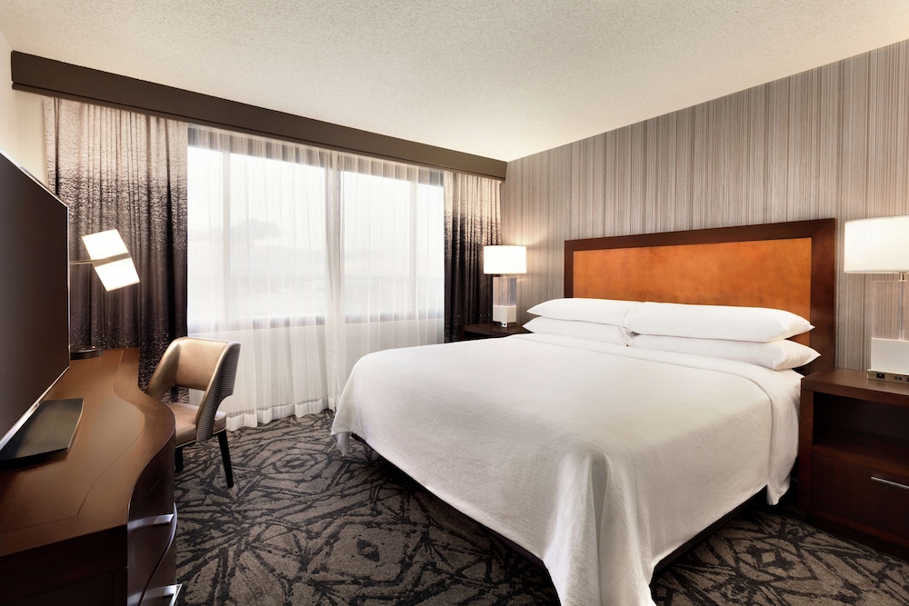 Suite, 1 King Bed, Allergy Friendly - Photo 2