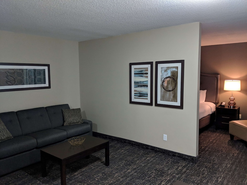 Suite, 1 King Bed, Non Smoking, Refrigerator & Microwave (with Sofabed) photo 1