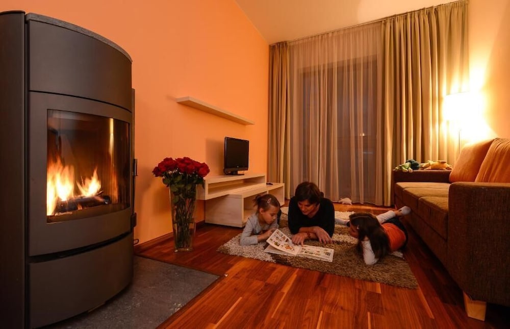 Comfort Apartment, 1 Bedroom, Fireplace