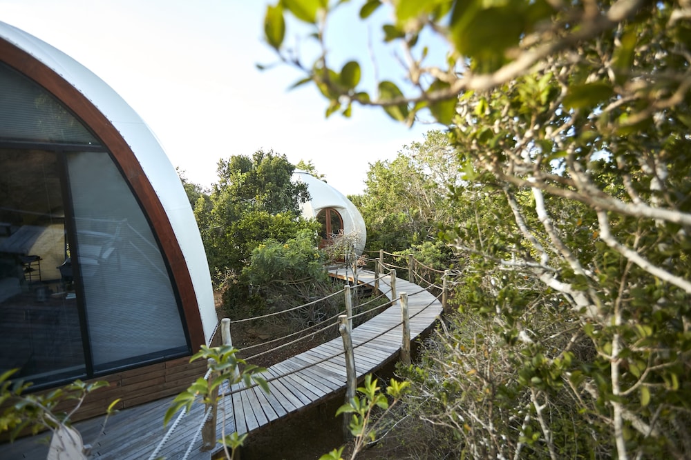 Family Cocoon Pool Suite with One Free Game Drive