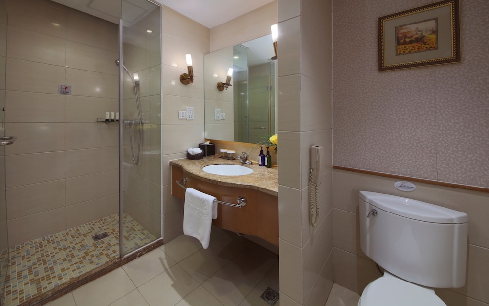 Superior  City View Twin Room photo 2
