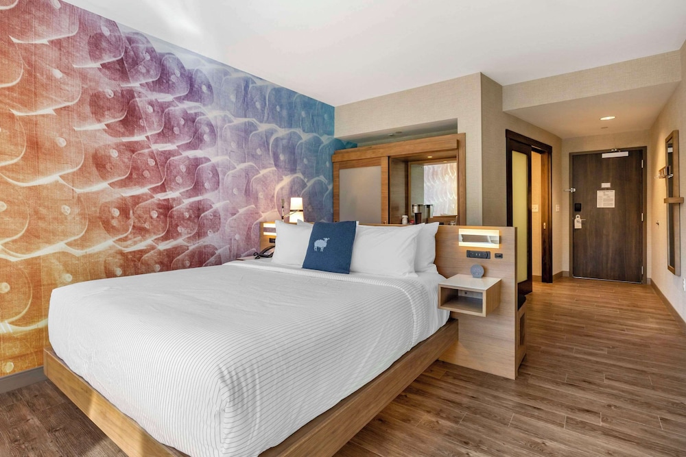 Standard Room, 1 King Bed, Non Smoking - Photo 2