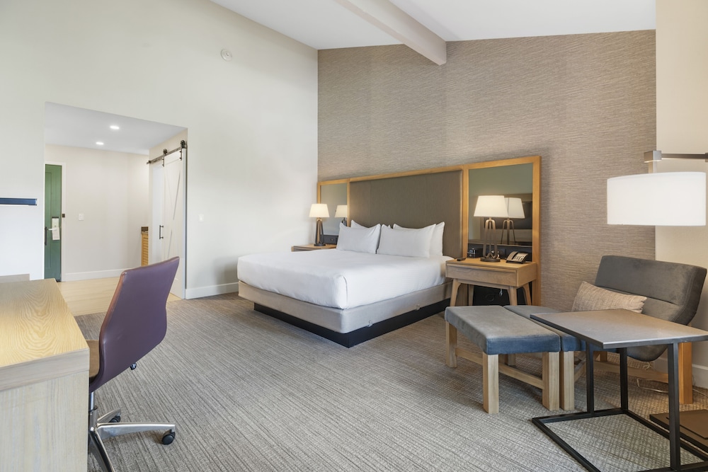 Deluxe Room, 1 King Bed photo 3