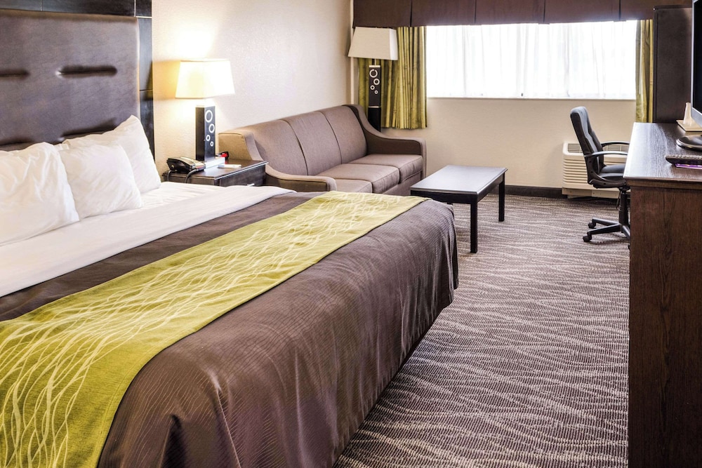 Suite, 1 King Bed With Sofa Bed, Non Smoking photo 1