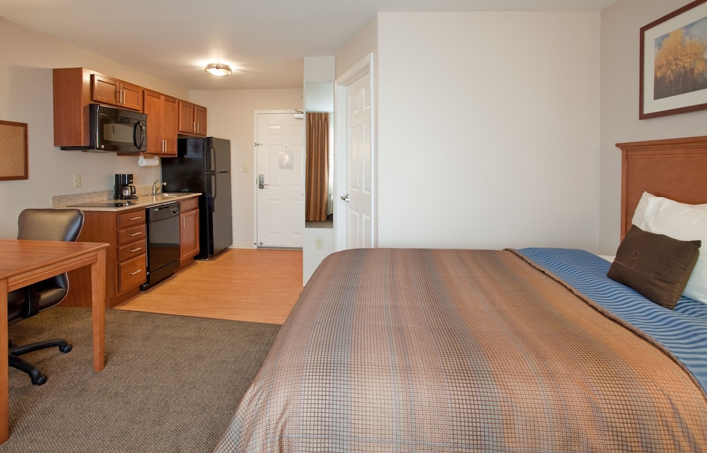 Studio Suite, 2 Double Beds, Non Smoking photo 3