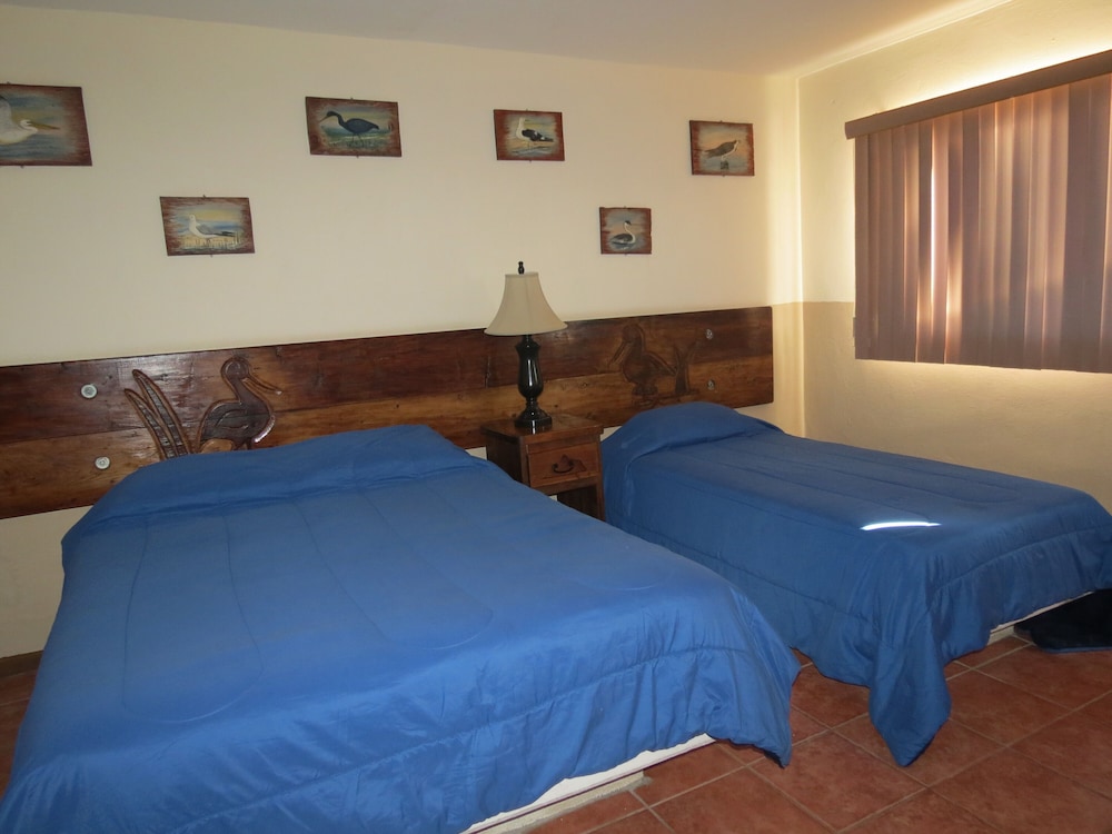 Classic Room - Photo 14