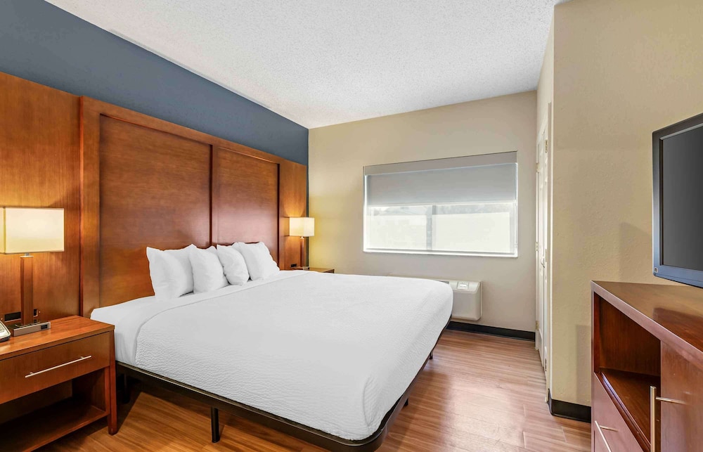 Standard Studio, 1 King Bed, Non Smoking, Refrigerator & Microwave - Photo 1