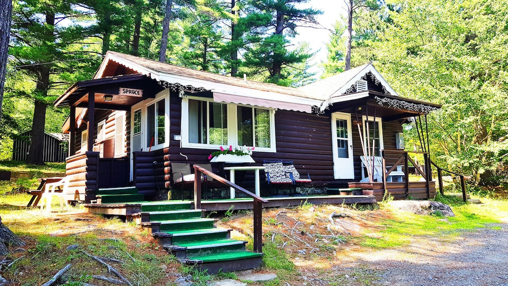 Family Chalet Spruce photo 2