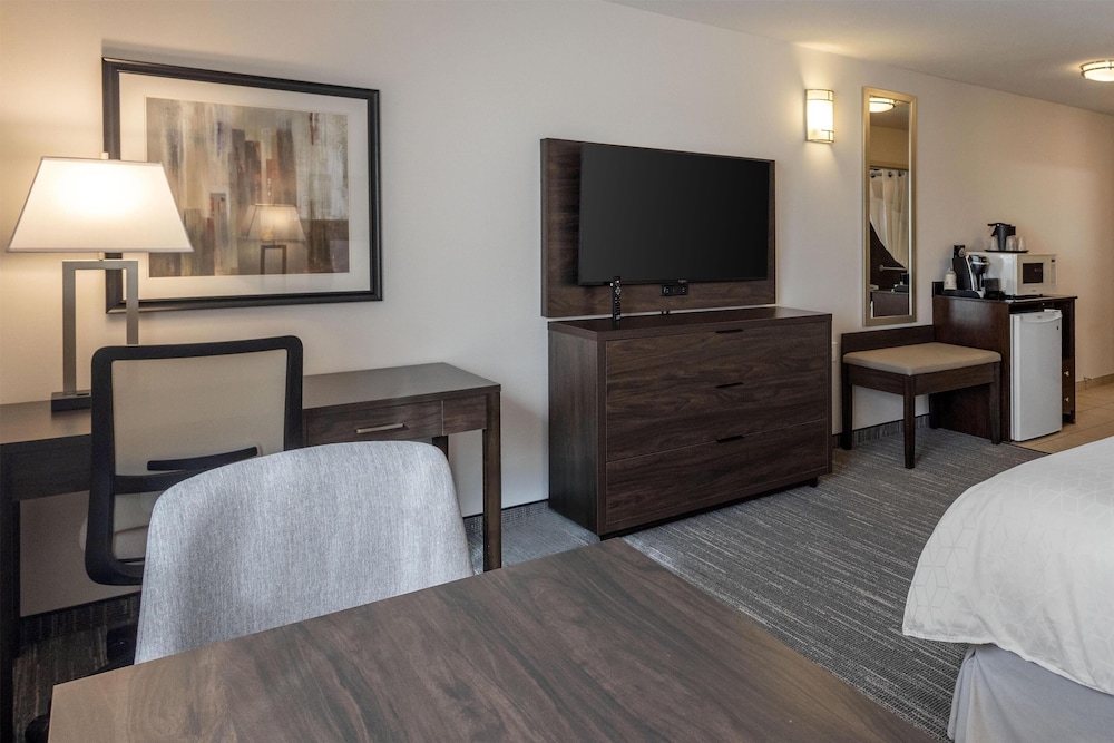 Standard Room, 1 King Bed, Accessible, Refrigerator & Microwave (Dining Table) - Photo 2