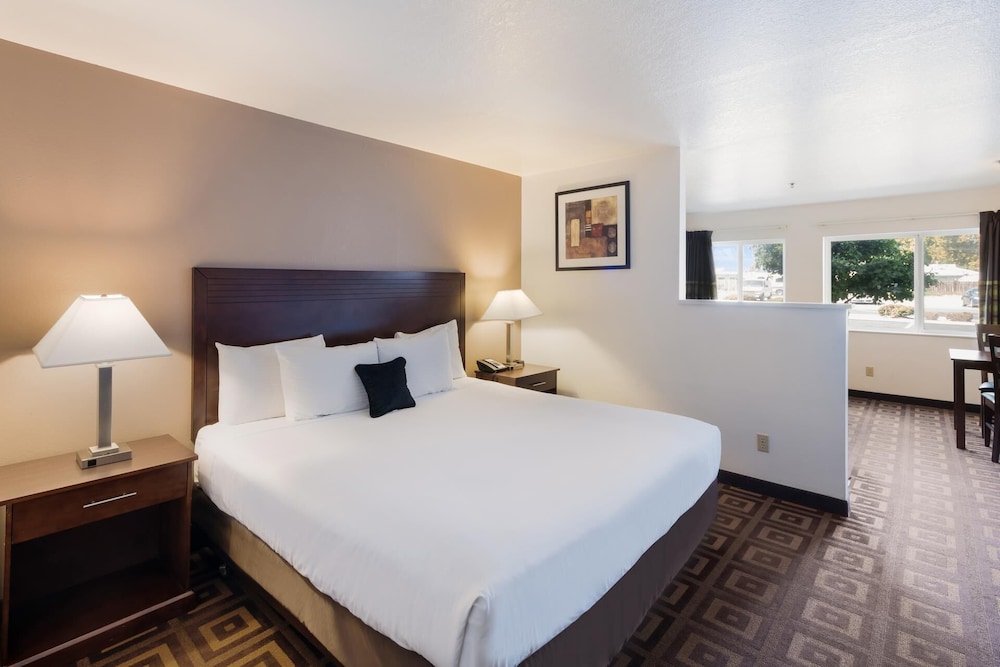Suite, 1 King Bed with Sofa bed, Non Smoking