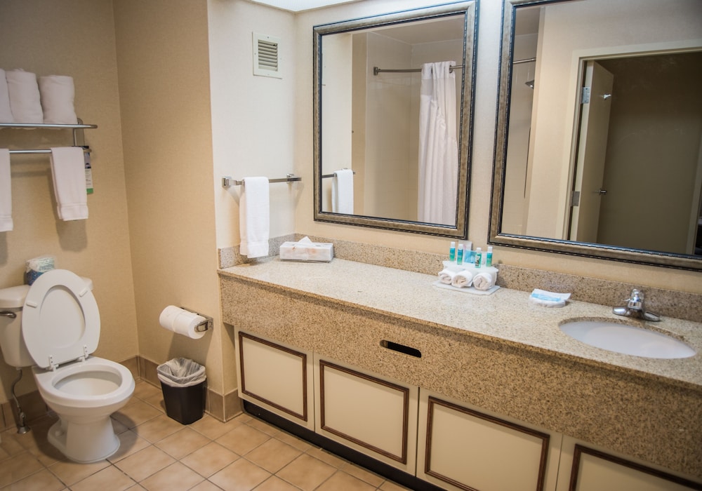 Suite, 1 King Bed, Accessible (Mobility Tub) - Photo 5