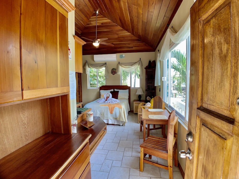 Deluxe Studio Suite photo 1