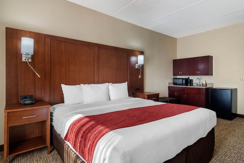 Room, 1 King Bed, Accessible, Non Smoking (Accessible Tub) - Photo 2